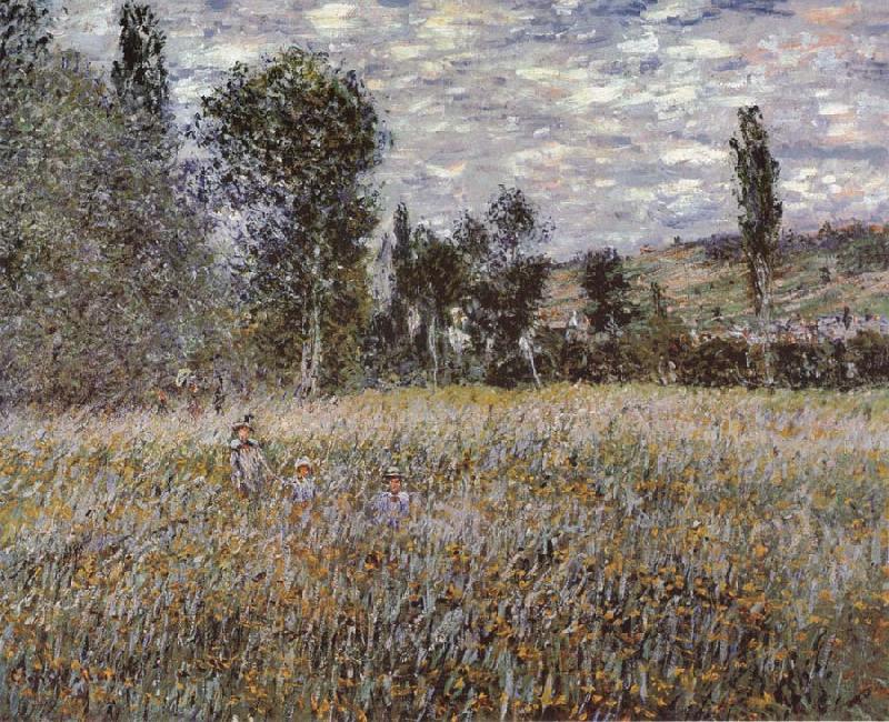 Claude Monet A Mcadow France oil painting art
